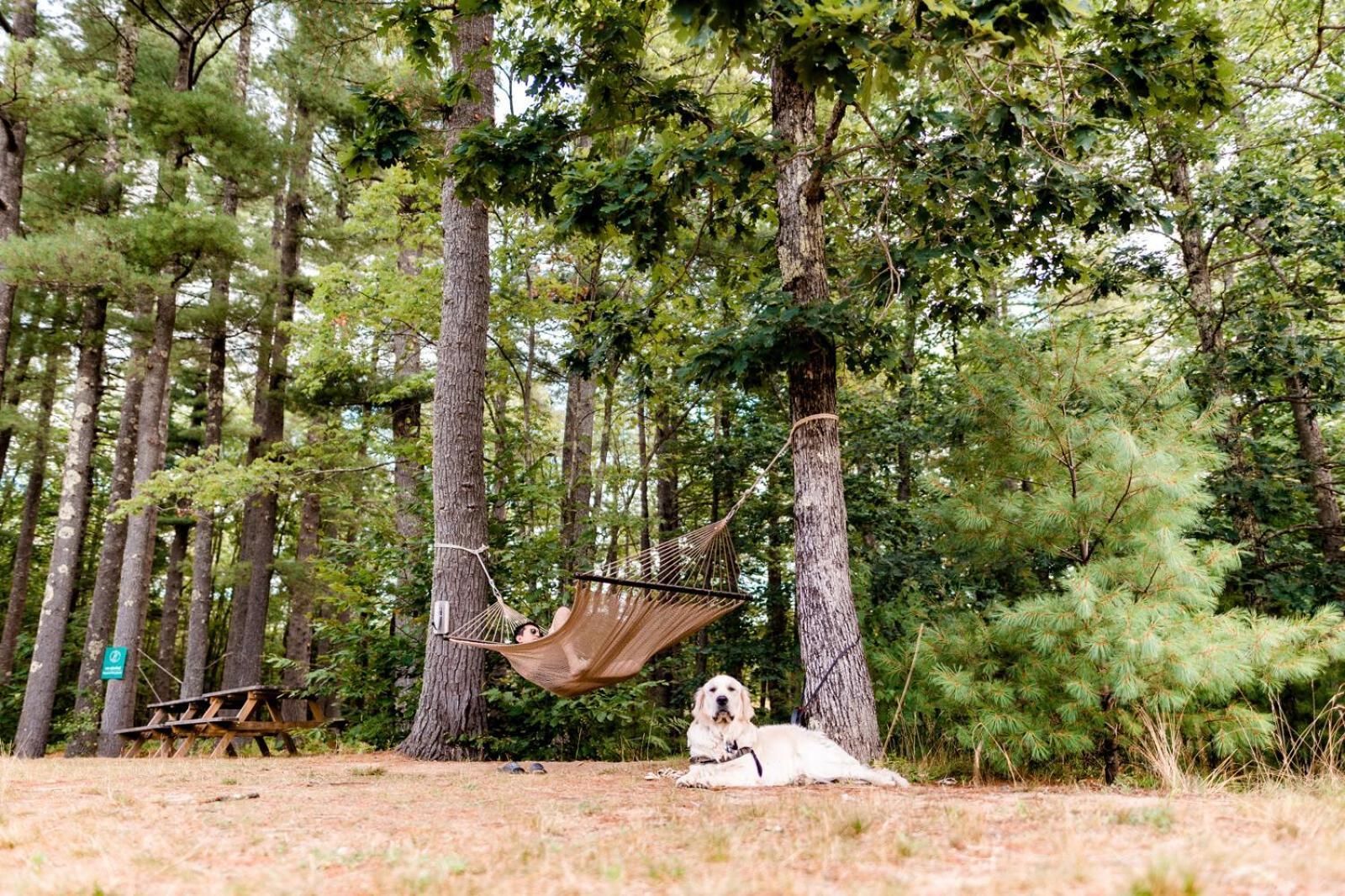 Huttopia Southern Maine Hotel Sanford Kültér fotó