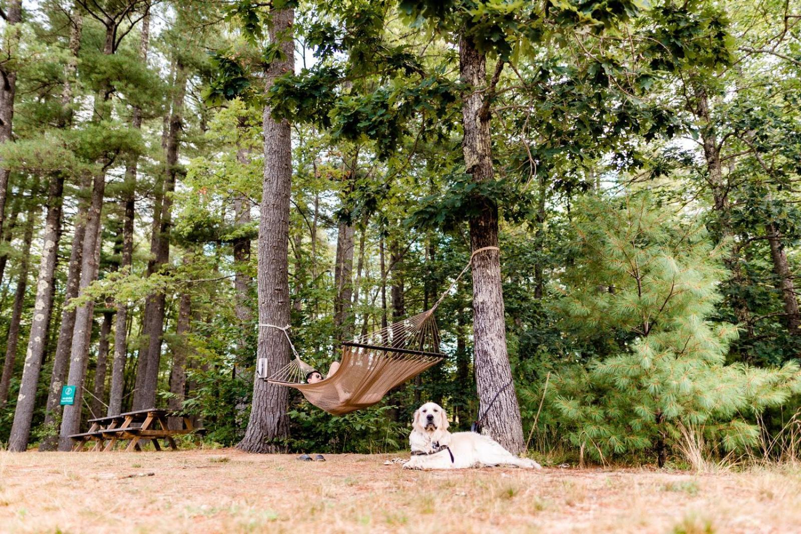 Huttopia Southern Maine Sanford Kültér fotó